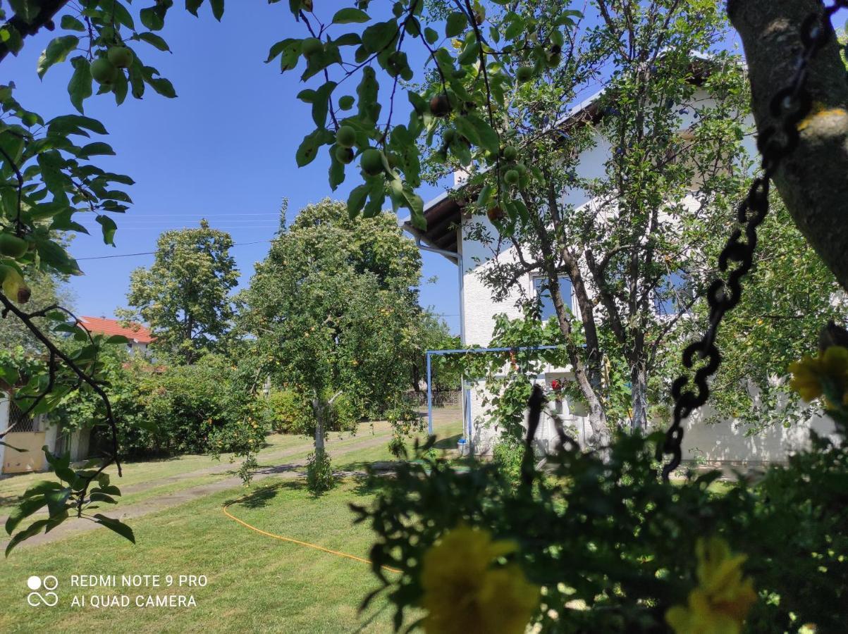 Home Of Nature - Kuca Prirode Odzak Exterior photo